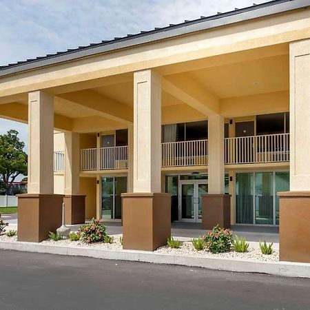 Quality Inn Saint Petersburg North-Tampa Bay Exteriör bild